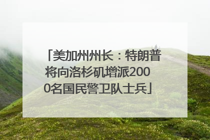 美加州州长：特朗普将向洛杉矶增派2000名国民警卫队士兵