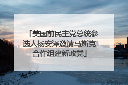 美国前民主党总统参选人杨安泽邀请马斯克合作组建新政党