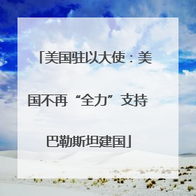 美国驻以大使：美国不再“全力”支持巴勒斯坦建国