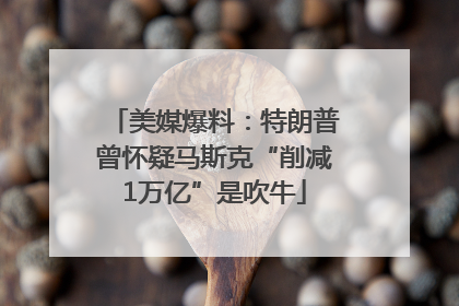美媒爆料：特朗普曾怀疑马斯克“削减1万亿”是吹牛