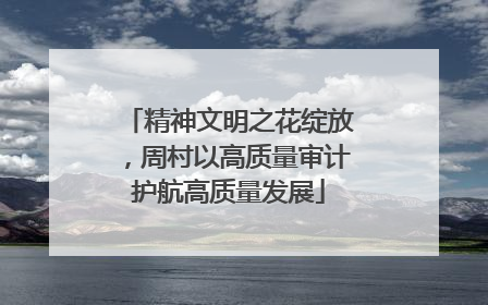 精神文明之花绽放，周村以高质量审计护航高质量发展