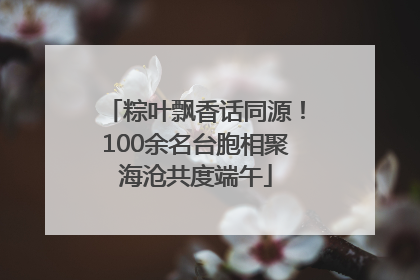 粽叶飘香话同源！100余名台胞相聚海沧共度端午