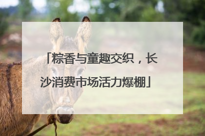 粽香与童趣交织，长沙消费市场活力爆棚