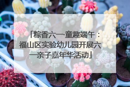 粽香六一·童趣端午：福山区实验幼儿园开展六一亲子嘉年华活动
