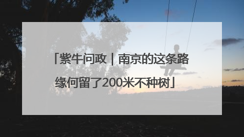 紫牛问政｜南京的这条路缘何留了200米不种树