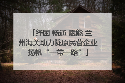 纾困 畅通 赋能 兰州海关助力陇原民营企业扬帆“一带一路”