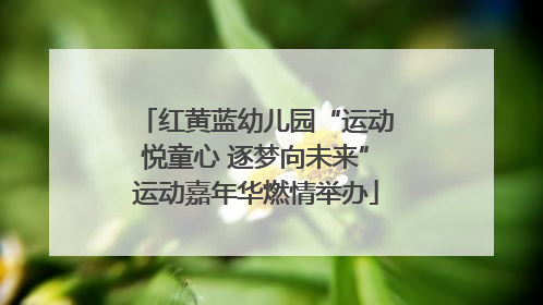 红黄蓝幼儿园“运动悦童心 逐梦向未来”运动嘉年华燃情举办