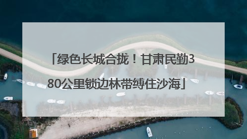 绿色长城合拢！甘肃民勤380公里锁边林带缚住沙海