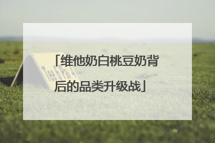 维他奶白桃豆奶背后的品类升级战
