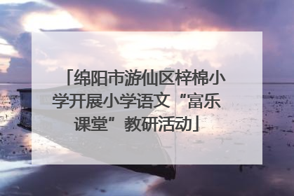 绵阳市游仙区梓棉小学开展小学语文“富乐课堂”教研活动