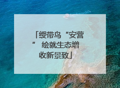 绶带鸟“安营” 绘就生态增收新景致