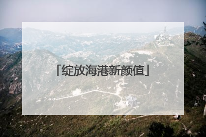 绽放海港新颜值