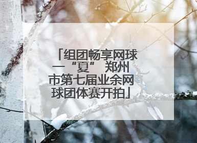 组团畅享网球一“夏” 郑州市第七届业余网球团体赛开拍