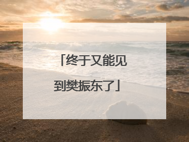 终于又能见到樊振东了