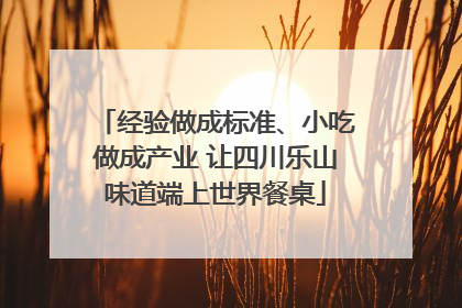 经验做成标准、小吃做成产业 让四川乐山味道端上世界餐桌