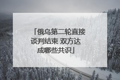 俄乌第二轮直接谈判结束 双方达成哪些共识