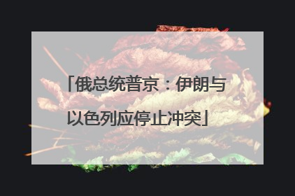俄总统普京：伊朗与以色列应停止冲突