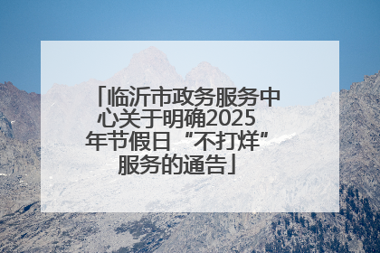临沂市政务服务中心关于明确2025年节假日“不打烊”服务的通告