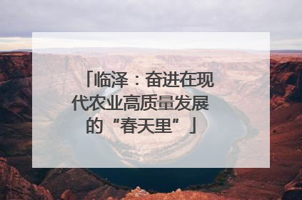 临泽：奋进在现代农业高质量发展的“春天里”