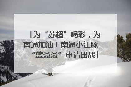 为“苏超”喝彩，为南通加油！南通小江豚“蓝叒叒”申请出战