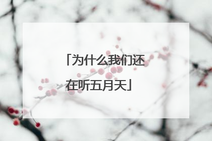 为什么我们还在听五月天