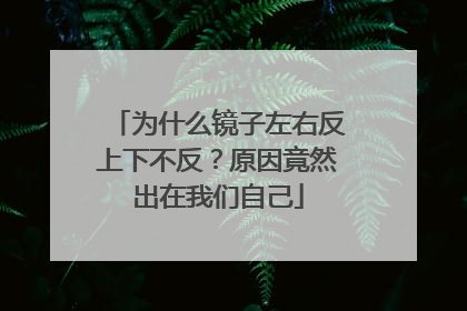 为什么镜子左右反上下不反？原因竟然出在我们自己