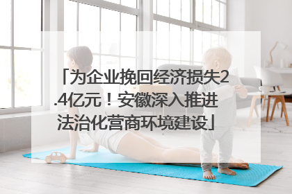 为企业挽回经济损失2.4亿元！安徽深入推进法治化营商环境建设