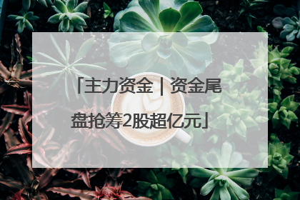 主力资金｜资金尾盘抢筹2股超亿元