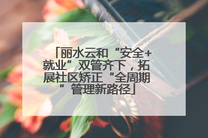 丽水云和“安全+就业”双管齐下，拓展社区矫正“全周期”管理新路径