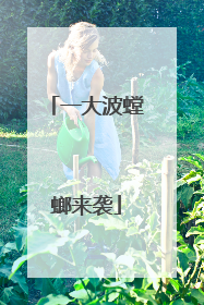一大波螳螂来袭