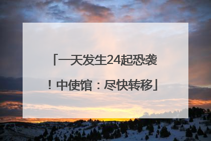 一天发生24起恐袭！中使馆：尽快转移