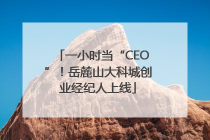 一小时当“CEO”！岳麓山大科城创业经纪人上线