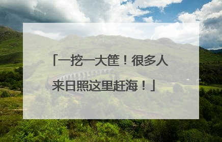 一挖一大筐！很多人来日照这里赶海！