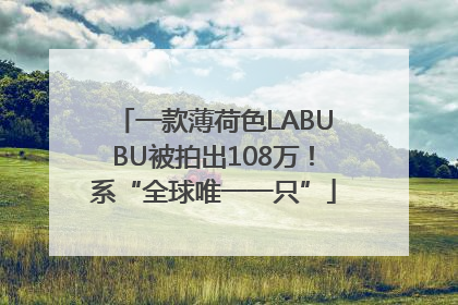 一款薄荷色LABUBU被拍出108万！系“全球唯一一只”
