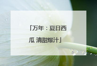 万年：夏日西瓜 清甜爆汁