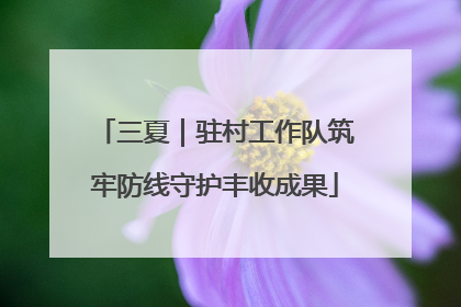 三夏｜驻村工作队筑牢防线守护丰收成果