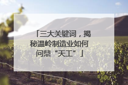 三大关键词，揭秘温岭制造业如何问鼎“天工”