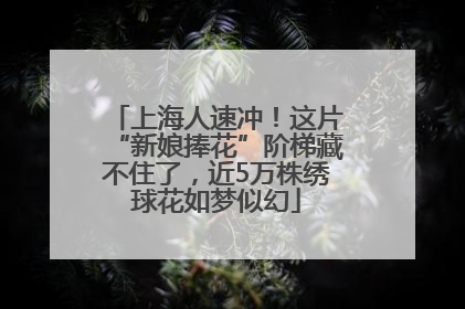 上海人速冲！这片“新娘捧花”阶梯藏不住了，近5万株绣球花如梦似幻