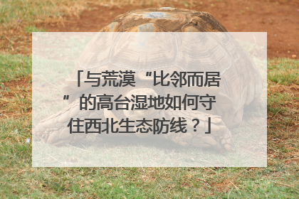 与荒漠“比邻而居”的高台湿地如何守住西北生态防线？