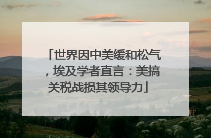 世界因中美缓和松气，埃及学者直言：美搞关税战损其领导力