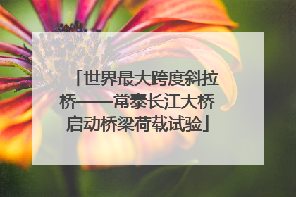 世界最大跨度斜拉桥——常泰长江大桥启动桥梁荷载试验