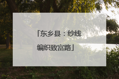 东乡县：纱线编织致富路