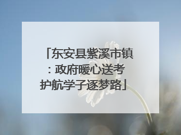东安县紫溪市镇：政府暖心送考 护航学子逐梦路