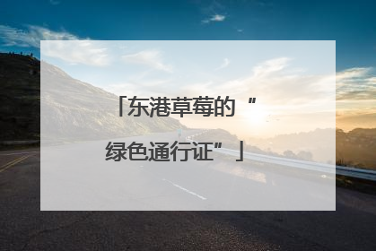东港草莓的“绿色通行证”