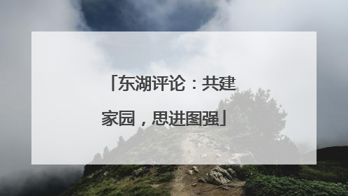 东湖评论：共建家园，思进图强