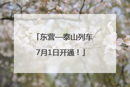 东营—泰山列车7月1日开通！