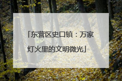 东营区史口镇：万家灯火里的文明微光