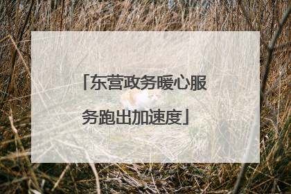 东营政务暖心服务跑出加速度