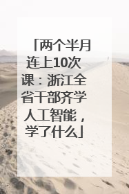 两个半月连上10次课：浙江全省干部齐学人工智能，学了什么