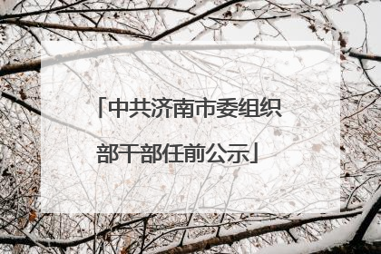中共济南市委组织部干部任前公示